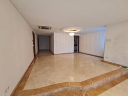 Cairnhill Plaza (D9), Apartment #490138271